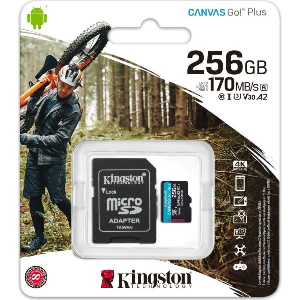 Kingston Canvas Go Plus 256GB Class 10 USH-I Hafıza Kartı SDCG3/256GB